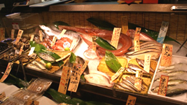 Introduction / Shrimp / Tuna / Salmon and trout / Other seafood products