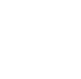 The Most Popular Category Among Visitors