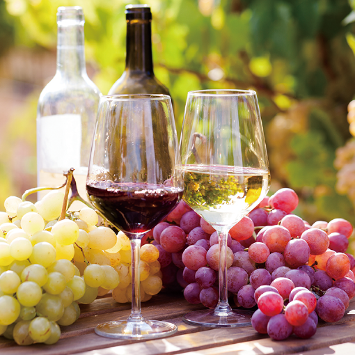 FOODEX WINE