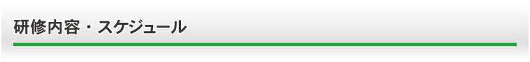実践研修研修内容・スケジュール