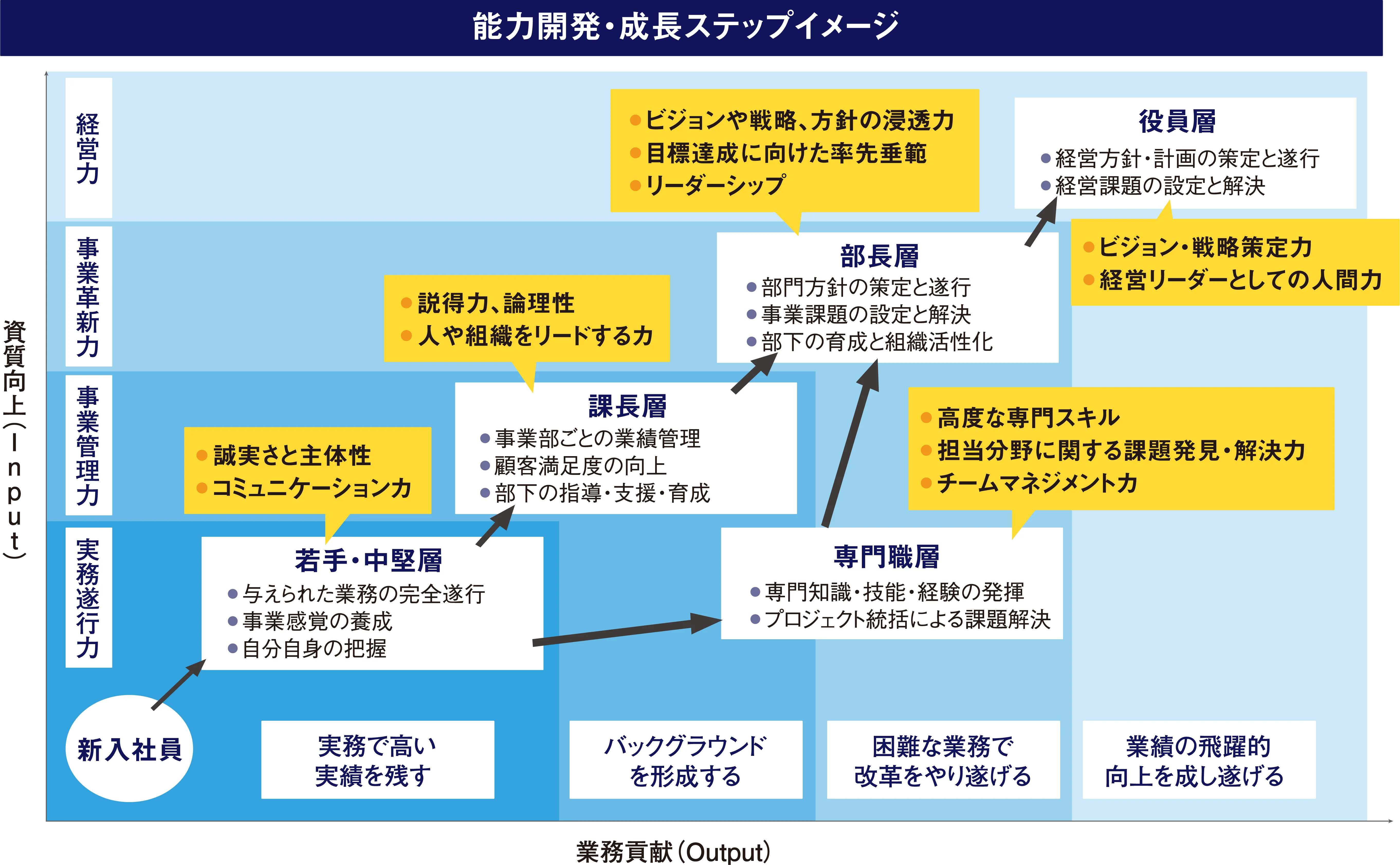 能力開発・成長ステップイメージ