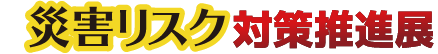 災害対策リスク推進展